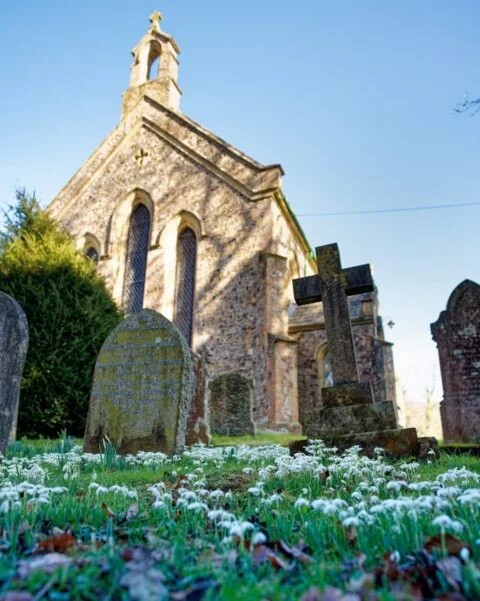 A view of the snowdrops in Escot churchyard