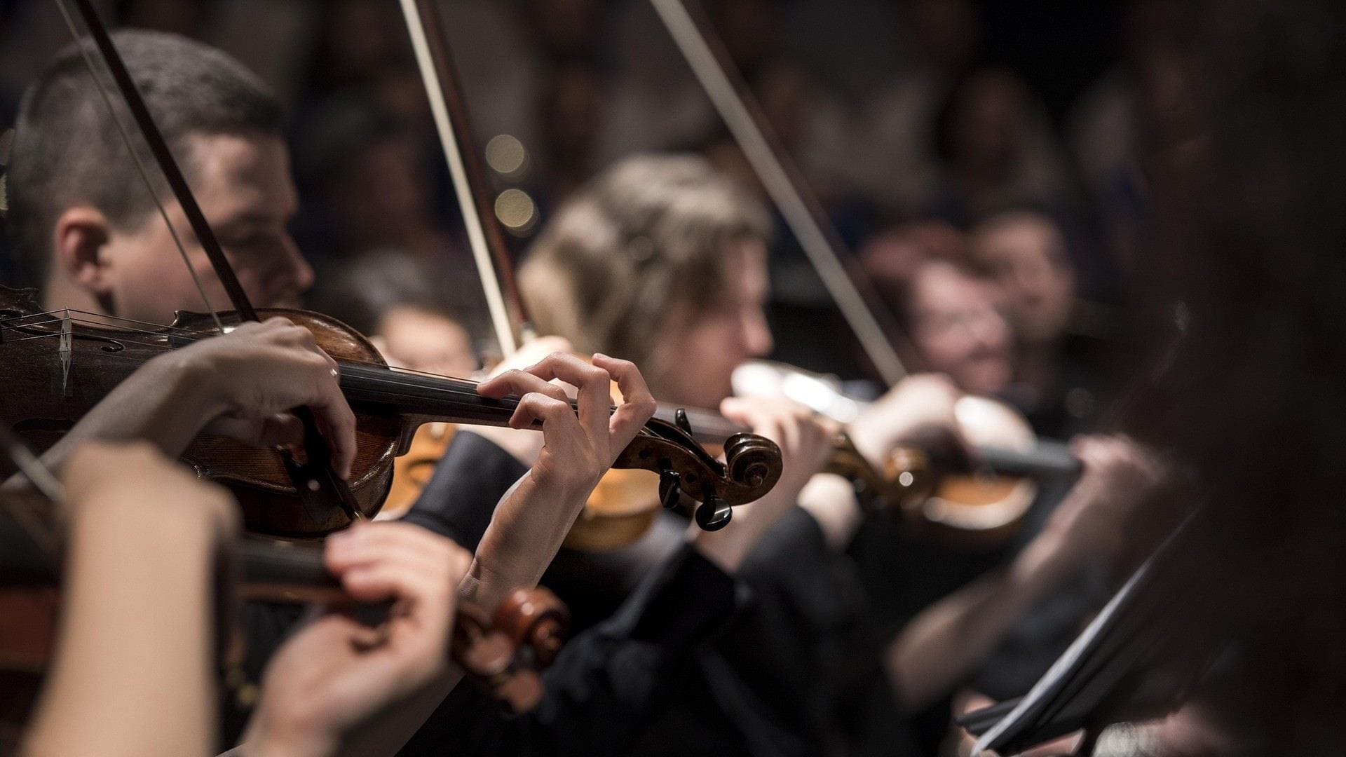 Concert