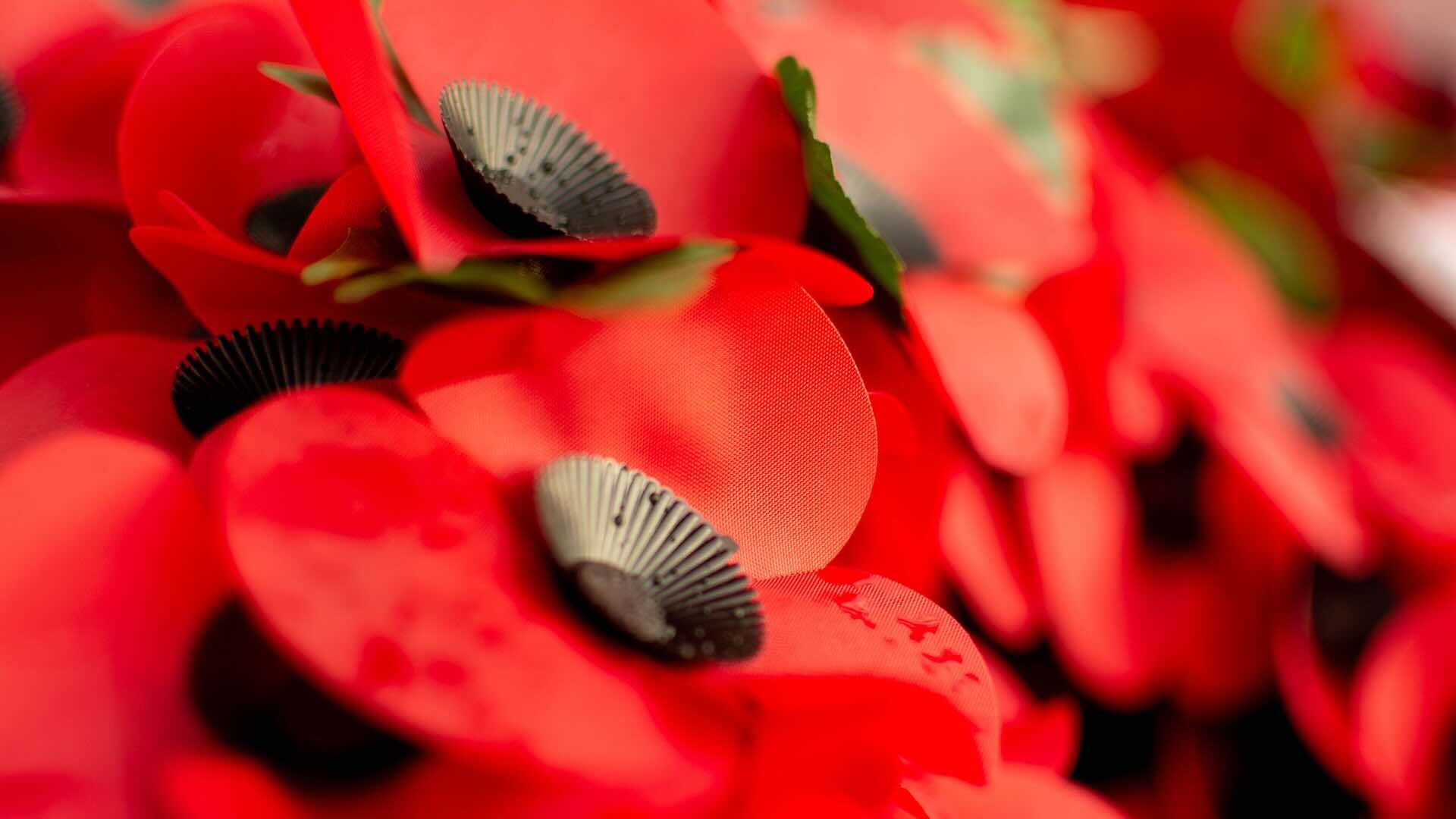 Remembrance Sunday