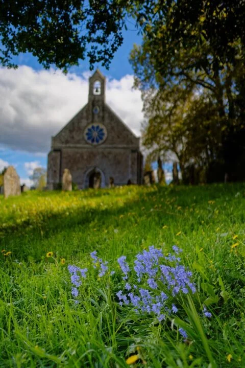 A view of bluebells in Tipton St John churchyard